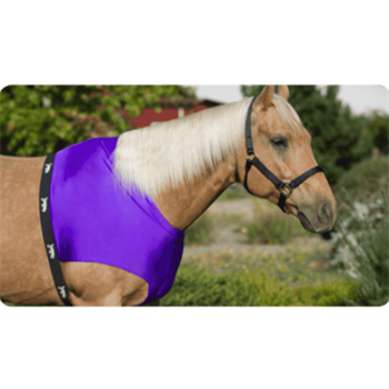 Jammies Horsewear | Shoulder Guard | Solid Color